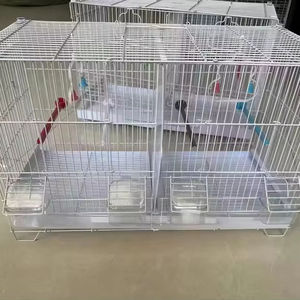 <span class=keywords><strong>Cage</strong></span> multifonctionnelle pour grand perroquet et oiseau fantaisie Matériau en fer fin transparent Type de palette Plateau en plastique Boîte d'emballage - Product Image 1