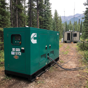 Groupe électrogène Cummins de haute qualité 20 kVA, générateur diesel avec tension nominale de 400 V, vitesse de 1500 tr/min, sortie monophasée AC, à vendre - Product Image 6