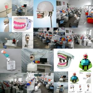 Tête de mannequin dentaire avancé, outil de mannequin dentaire DT - Product Image 6