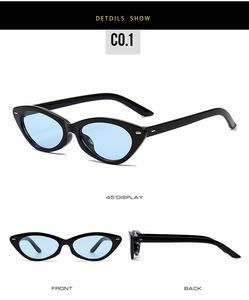 Lunettes de soleil polarisées <span class=keywords><strong>tendance</strong></span> de haute qualité, UV400, petite monture, œil de chat, lunettes de soleil de luxe pour femmes - Product Image 4