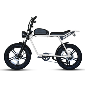 Vélo électrique tout-terrain 48V 750W Emtb Retro Road Dirt Fat Tire E Bike Ebike Mountain K7-2 Mountain Bike K7-2 - Product Image 4