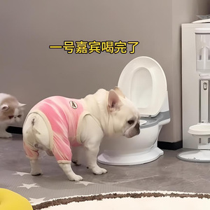 Bol d'eau créatif pour chat, style toilette, grande ouverture, antidérapant pour chats - Product Image 4