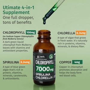 Extracto de Clorofila Orgánica Veganchlorophyll en Gotas OEM/ODM para el Apoyo de la Salud Inmunológica - Product Image 4