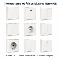 Interrupteurs et prises muraux durables à un seul pôle, norme européenne, 10A/16A 250V, certifiés CE, en laiton 0,6 mm, pour la maison et le bureau