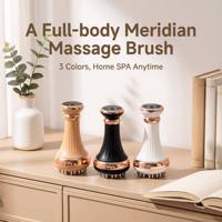Brosse multifonctionnelle chauffante EMS pour massage Gua Sha et frottement abdominal, 35 niveaux pour le corps