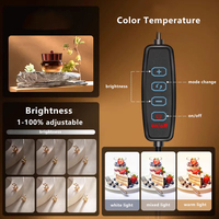 Offre Spéciale : Kit Boîte à Lumière LED Portable USB 40cm, Studio Photo Pliable pour Photographie de Produits et Bijoux, Boîte à Lumière Photobooth