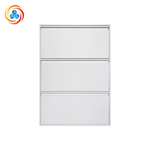 Armoire à chaussures contemporaine en acier mince pour la maison, meuble élégant pour salon avec rangement pour appartements - Product Image 1