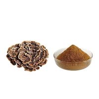 Poudre d'extrait de champignon Queue de dinde naturelle en gros, 30% de polysaccharides, 10:1, qualité alimentaire, extraction diététique standardisée