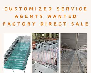 Direttamente dal Produttore: Recinto per Gestanti e Attrezzature per l'Allevamento di Suini - Product Image 5