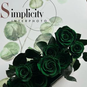 Scatola in acrilico rosa immortale per fidanzata ogni amore nuovo maniero rosa verde scuro - Product Image 4