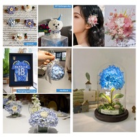 Pétales d'hortensia multicolores naturels biodégradables pour confettis de mariage et créations d'art en résine DIY, pétales d'hibiscus