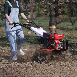Mini tracteur à pied 4 temps <span class=keywords><strong>Motoculteur</strong></span> <span class=keywords><strong>Motoculteur</strong></span> <span class=keywords><strong>Roue</strong></span> <span class=keywords><strong>de</strong></span> <span class=keywords><strong>motoculteur</strong></span> pour ferme jardin <span class=keywords><strong>Motoculteur</strong></span> à main - Product Image 4