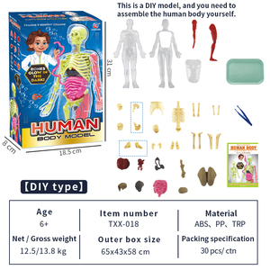 Tự làm Squishy cơ thể con người cơ quan lắp ráp đồ chơi có thể tháo rời con người Cấu Trúc Bộ xương mô hình giáo dục khoa học Kit cho các trường học - Product Image 3