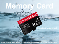 Tarjeta de Memoria al por Mayor con Precio de Fábrica Personalizada, Tarjeta TF de 64 GB 128 GB, Tarjeta SD de 32 GB C10 U3 MINI SD 32 GB 8 para Cámaras de Seguridad DVR y Teléfonos