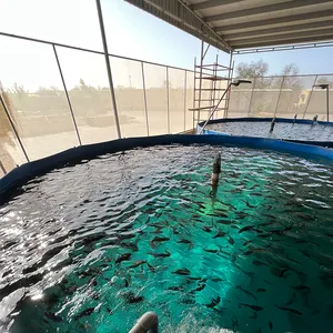 Equipo de acuicultura RAS, tanque de lona de Pvc, tanque de lona de PVC plegable redondo, estanque de peces de acuicultura