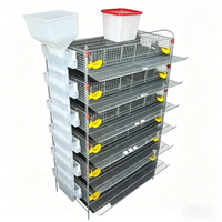 Cage à cailles multi-niveaux en plastique durable avec plateau de collecte des déchets écologique et alimentation automatique