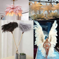 Plumes d'autruche longues teintées uniques pour fêtes, confection de chapeaux, coiffes de spectacle, costumes du Festival des Fleurs de Cerisier et du Jour des Morts
