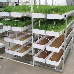 Vertical multi Layers Aeroponics system Micro green seed nursery Fodder tray Hydroponics Grow System for Greenhouse