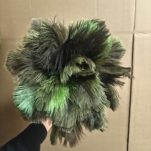 Plumes d'autruche d'Afrique du Sud de qualité supérieure, élégantes, pour la décoration de la pièce, outils de nettoyage pour boutique - Product Image 5