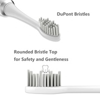 Brosse à dents électrique sonique en gros 31200 pulsations/min, 3 vitesses, étanche IPX7, longue autonomie, kit de 2 têtes de rechange pour voyage et hôtel