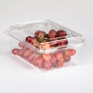 プラスチック製フルーツトレイ高品質ブリスター包装使い捨てプラスチッククラムシェル包装透明PETボックス