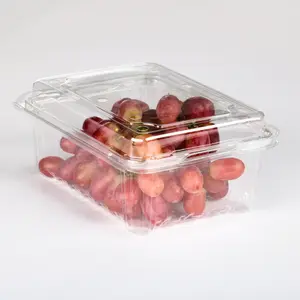 Wholesale Hign-quality Blister Packaging Disposable plastic clamshell packaging Clear PET Box Plastic Fruit Tray