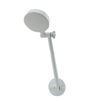 Ensemble de douche moderne en acier inoxydable chromé avec pommeau de pluie et bras de douche réglable, haute pression, vente en gros