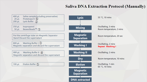 BeaverBeads Bộ Axit Nucleic Bộ Chiết Xuất DNA RNA Mẫu Nước Bọt - Product Image 3