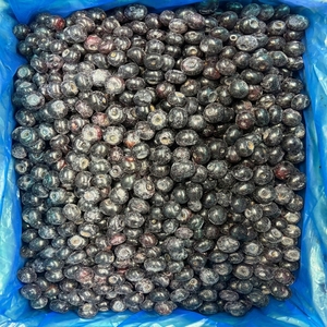 Fruits de <span class=keywords><strong>myrtilles</strong></span> surgelés IQF 100% naturels, emballage en vrac de 10 kg, <span class=keywords><strong>myrtilles</strong></span> <span class=keywords><strong>surgelées</strong></span> biologiques de qualité supérieure pour les smoothies et la pâtisserie - Product Image 1