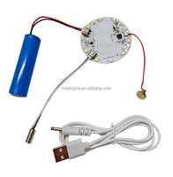 Lampe de table LED rechargeable par batterie de type C Module de cartes LED bicolore Carte de contrôle de veilleuse d'entrée de type C