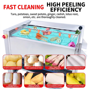 Root Vegetable Cleaning <b>Equipment</b> With Spraying Function For Apple Pear Scallop Shell Washing - Product Image 4
