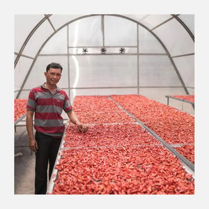 Serre De secage مجفف شمسي للاحتباس الحراري تصميم 4 * hun مجفف شمسي دفيئة - Product Image 1