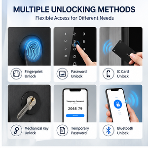 Poignée de porte numérique intelligente WiFi Bluetooth TUYA avec lecteur d'empreintes digitales biométrique et clé électronique pour usage domestique dans les hôtels/appartements - Product Image 2