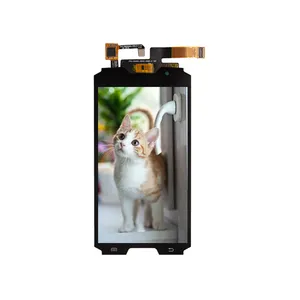 OEM In Stock 5 Inch MIPI IPS LCD Display 720x1280 LCD Screen 5 Inch LCD Touch Screen