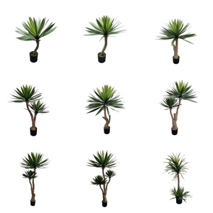 Planta Artificial Verde, Bonsái, Árbol de Sangre de Dragón, 2 m de Altura, Simulación de PET+PVC, Decoración para Interiores y Exteriores, Hogar y Oficina - Product Image 4
