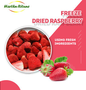 Fresa liofilizada - Product Image 2