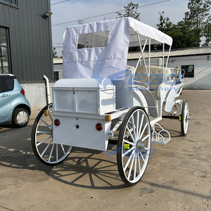 Chariot électrique tout-terrain à quatre roues en acier, modèle 2025, neuf et de haute qualité, idéal pour les princesses ou les familles royales, à prix abordable - Product Image 4