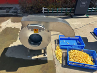 Machine de Découpe en Spirale Professionnelle pour Frites et Chips de Pommes de Terre, Coupe-Légumes à Vendre
