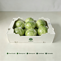Caisse de transport pliable en PP alvéolaire pour brocoli, empilable et respirante, pour fruits et légumes, directement de l'usine, OEM ODM disponible