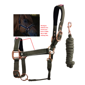 Licol Horshi avec laisse assortie pour chevaux, réfléchissant pour la sécurité, licols d'écurie pour chevaux, Flex-Webb, quincaillerie plaquée or rose - Product Image 3