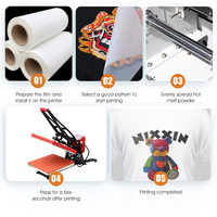 Film numérique DTF Chine 30x60cm pour impression directe sur T-shirts, vêtements et textiles