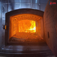 Chaudière à huile thermique à biomasse CFB, alimentée à la biomasse, 1 MPa, haute qualité, Vietnam, 1 tonne jusqu'à 20 tonnes, jusqu'à 60 mois