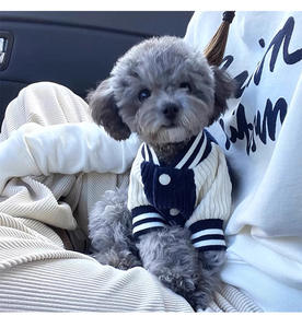 Özelleştirilmiş pet giyim moda beyzbol pet üniforma köpek hoodie sıcak kedi gezi ceket - Product Image 5