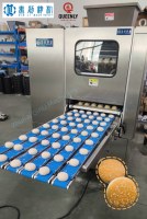 Machine automatique de façonnage de boules de pâte à haute capacité à 6 rangées, système industriel de division et d'arrondissement pour grandes boulangeries
