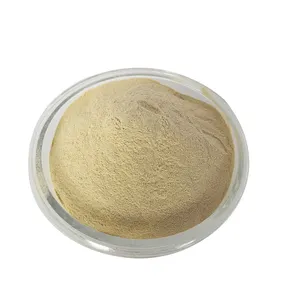 Hot Sale Pure Food Grade Tryptophan Powder Feed Grade Bulk Price L Tryptophan