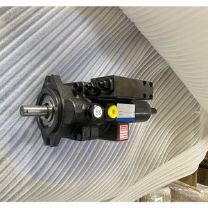 Bomba de Paletas Hidráulica Serie PVS PVS12EH140C2 PVS12AZ140C2 PVS20EH140C2 PVS25EH140C2 PVS25EH140C2Z - Product Image 4