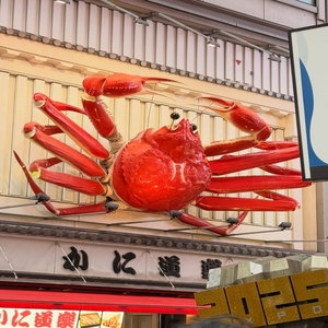 Statue géante de <span class=keywords><strong>crabe</strong></span> royal, sculpture en fibre de verre de fruits de mer pour Pâques, artisanat en résine pour Noël, décoration de restaurant, paysage urbain - Product Image 3