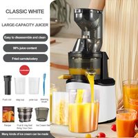 Extracteur de jus portable OEM, petit presse-agrumes domestique en acier inoxydable, mixeur extracteur de jus lent