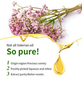 Olio essenziale di valeriana <span class=keywords><strong>naturale</strong></span> puro per il miglioramento del sonno prodotto di odore fresco - Product Image 4