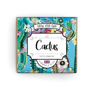 Kit <span class=keywords><strong>de</strong></span> cactus fleurissant |   <span class=keywords><strong>D</strong></span>écoration intérieure moderne pour la maison, magnifiquement conçue à la main, cadeau pour les jardiniers <span class=keywords><strong>d</strong></span>ébutants et expérimentés - Product Image 1